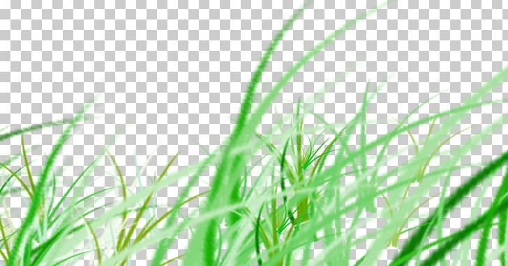 Google S PNG, Clipart, Artificial Grass, Cartoon Grass, Clips, Computer, Computer Wallpaper Free PNG Download