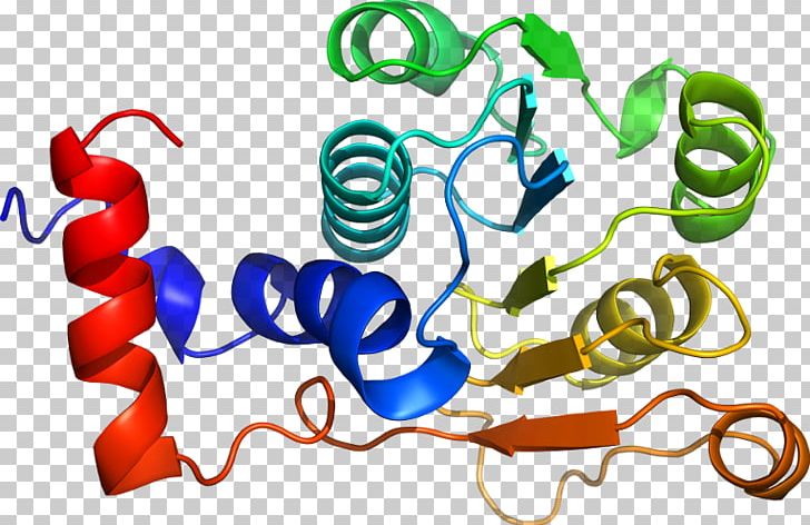 Organism Line PNG, Clipart, Area, Art, Artwork, Line, Methylmalonylcoa Mutase Free PNG Download