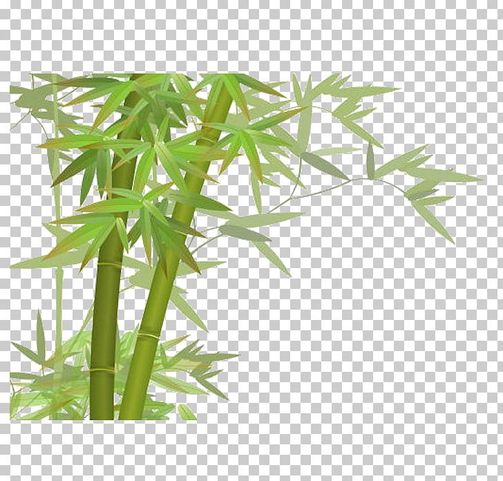 Bamboo PNG, Clipart, Angle, Animation, Background Green, Bamboo, Chinese Free PNG Download