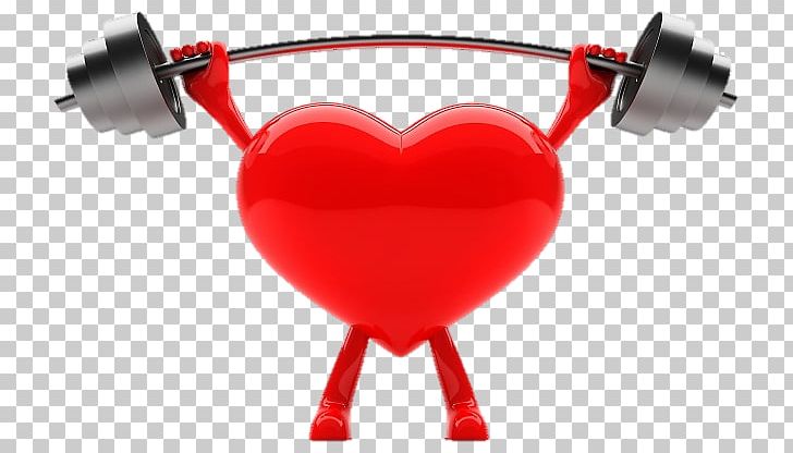 Heart Weight Training Cardiovascular Disease Exercise PNG, Clipart, Cardiac Muscle, Cardiology, Cardiovascular Disease, Diet, Endurance Free PNG Download