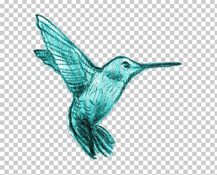 Hummingbird Beak Wing Fauna PNG, Clipart, Animal, Animals, Beak, Bird, Fauna Free PNG Download