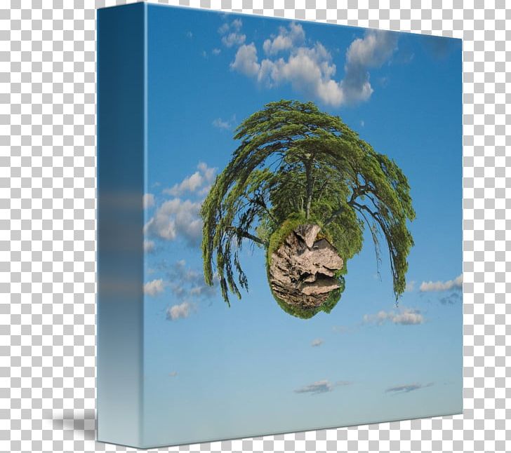 /m/02j71 Earth Tree Stock Photography PNG, Clipart, Earth, M02j71, Organism, Photography, Sky Free PNG Download