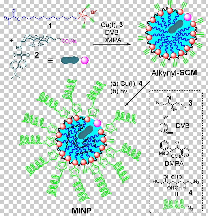 Nanoparticle Protein Micelle Molecule Hydrophobic Effect PNG, Clipart, Antibody, Body Jewelry, Carbohydrate, Chemistry, Circle Free PNG Download