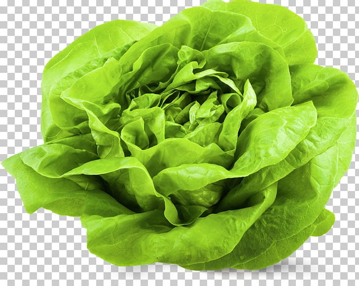 Vegetable Salad Butterhead Lettuce Doner Kebab Variety PNG, Clipart, Butterhead Lettuce, Cabbage, Chard, Collard Greens, Doner Kebab Free PNG Download