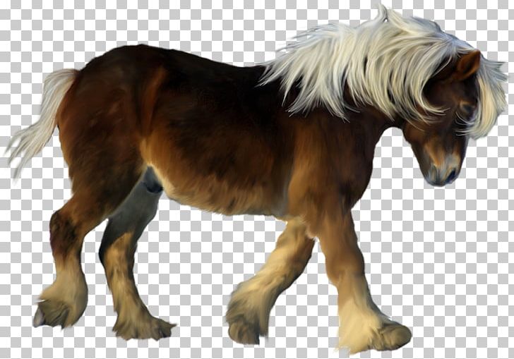 American Miniature Horse Pony Foal Colt Stallion PNG, Clipart, American Miniature Horse, Animals, Colt, Computer Icons, Dog Free PNG Download