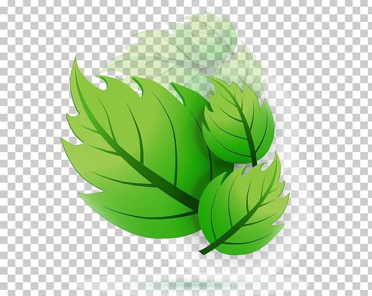 Leaf Euclidean Adobe Illustrator PNG, Clipart, Art, Artworks, Background Green, Blade, Design Vector Free PNG Download