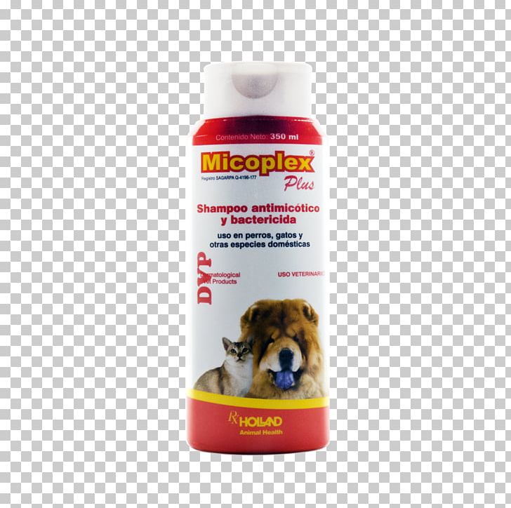 Shampoo Huvica Veterinary Marketing Miconazole Chlorhexidine Health PNG, Clipart, Antifungal, Beauty, Cat, Chlorhexidine, Dog Free PNG Download