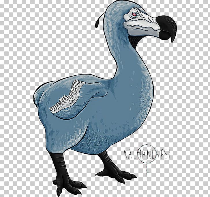 dodo reaper ark