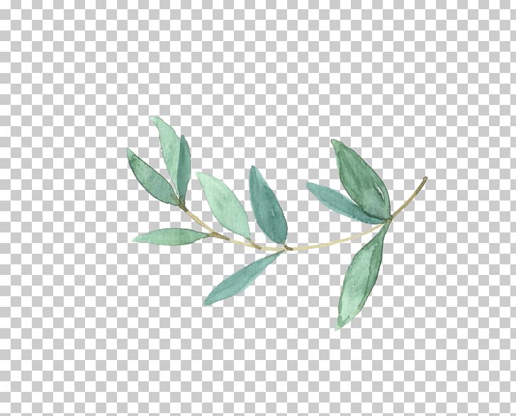 Drawing Watercolor Painting PNG, Clipart, Art, Branch, Common Daisy, Desktop Wallpaper, Drawing Free PNG Download