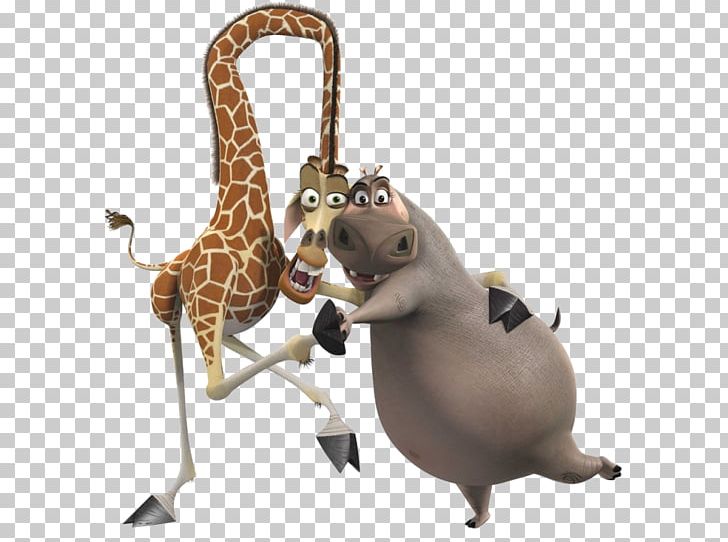 Giraffe Moto Moto Noddy Melman Marty PNG, Clipart, Animals, Dreamworks Animation, Film, Giraffe, Giraffidae Free PNG Download