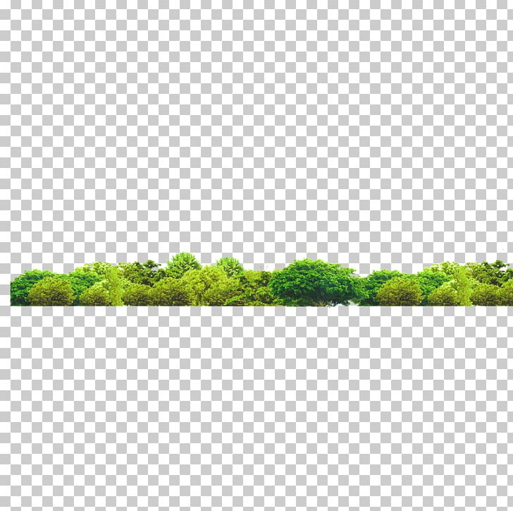 Gratis Resource PNG, Clipart, Afforestation, Angle, Area, Black Forest, Designer Free PNG Download