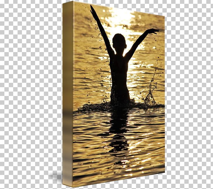Stock Photography Alamy PNG, Clipart, Alamy, Amazing Choice Private Limited, Girl, Jump Out Of The Water, Photography Free PNG Download