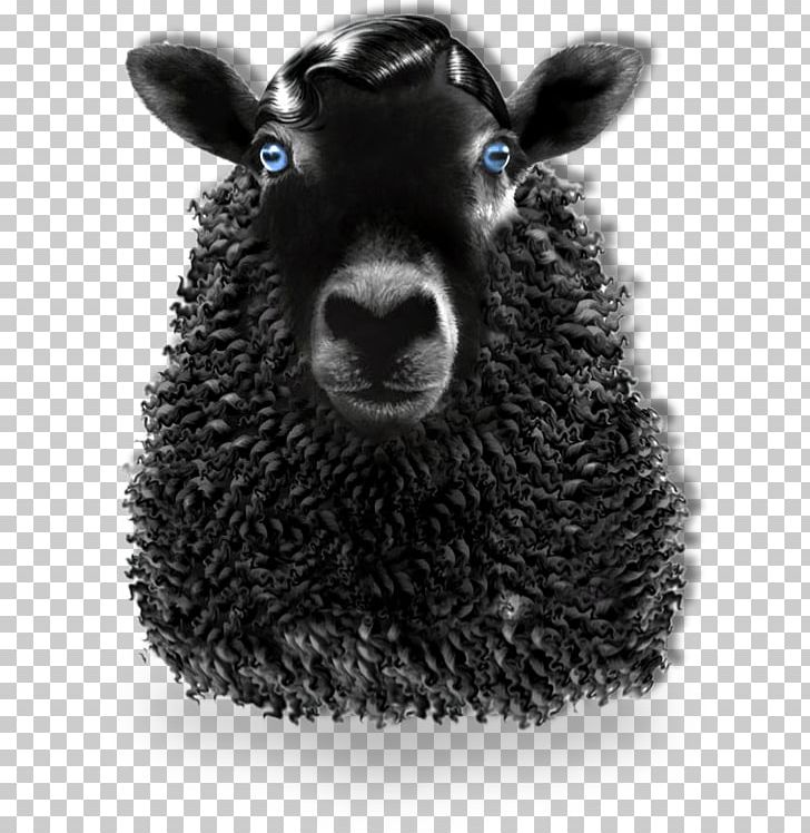 Black Sheep AFM International Independent Film Festival PNG, Clipart, Advertising, Animals, Black And White, Cattle Like Mammal, Cow Goat Family Free PNG Download