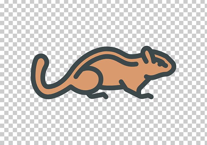 Chipmunk Squirrel Leopard Cat Computer Icons PNG, Clipart,  Free PNG Download