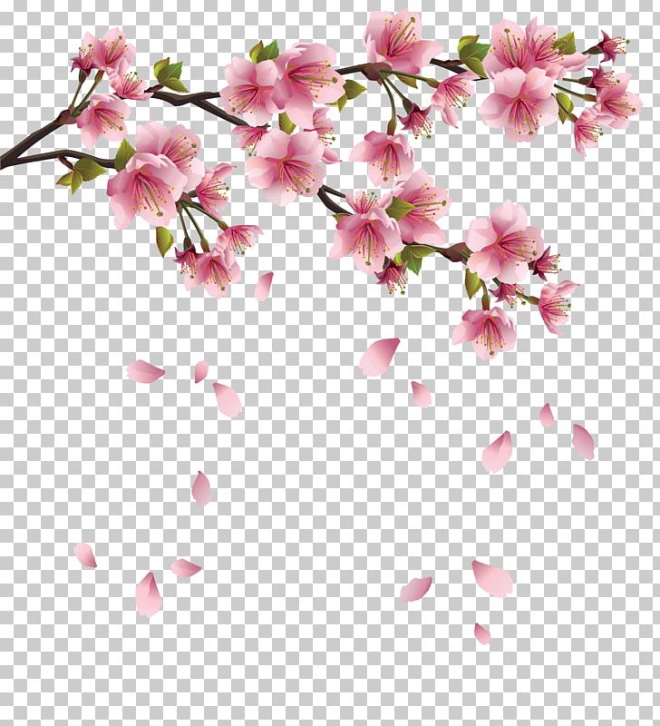 Flower Branch Cherry Blossom PNG, Clipart, Branches, Fall, Falling, Fall Leaves, Falls Free PNG Download