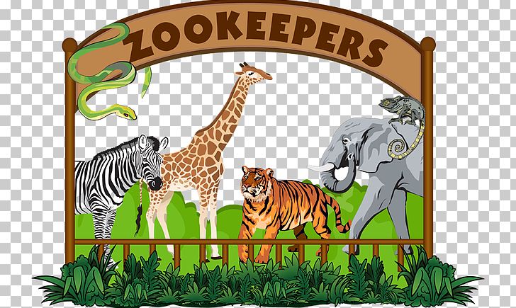 National Zoological Park San Diego Zoo PNG, Clipart, Animal, Big Cats, Carnivoran, Cartoon, Cat Like Mammal Free PNG Download