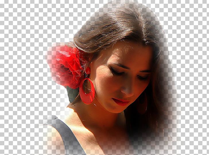 Beauty Desktop Art PNG, Clipart, 4k Resolution, Art, Beauty, Black Hair, Brown Hair Free PNG Download