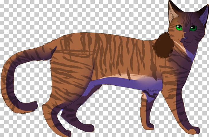 Domestic Short-haired Cat Kitten Whiskers Mammal PNG, Clipart, Animal, Animal Figure, Animals, Carnivora, Carnivoran Free PNG Download