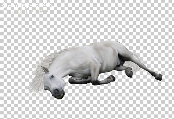 Horse Drawing Dog Breed PNG, Clipart, Animals, Black And White, Carnivoran, Dog, Dog Breed Free PNG Download