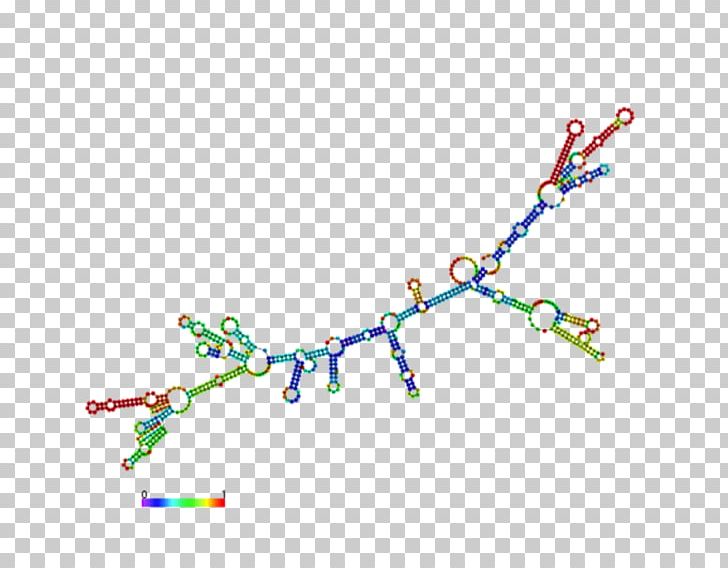 Messenger RNA Base Pair Transfer RNA Post-transcriptional Modification PNG, Clipart, 3 D, Area, Body Jewelry, Cholera, Gene Expression Free PNG Download