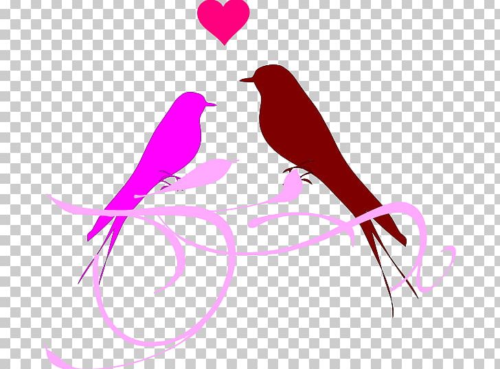 Bird Vertebrate PNG, Clipart, Animals, Beak, Bird, Birdcage, Blackcheeked Lovebird Free PNG Download