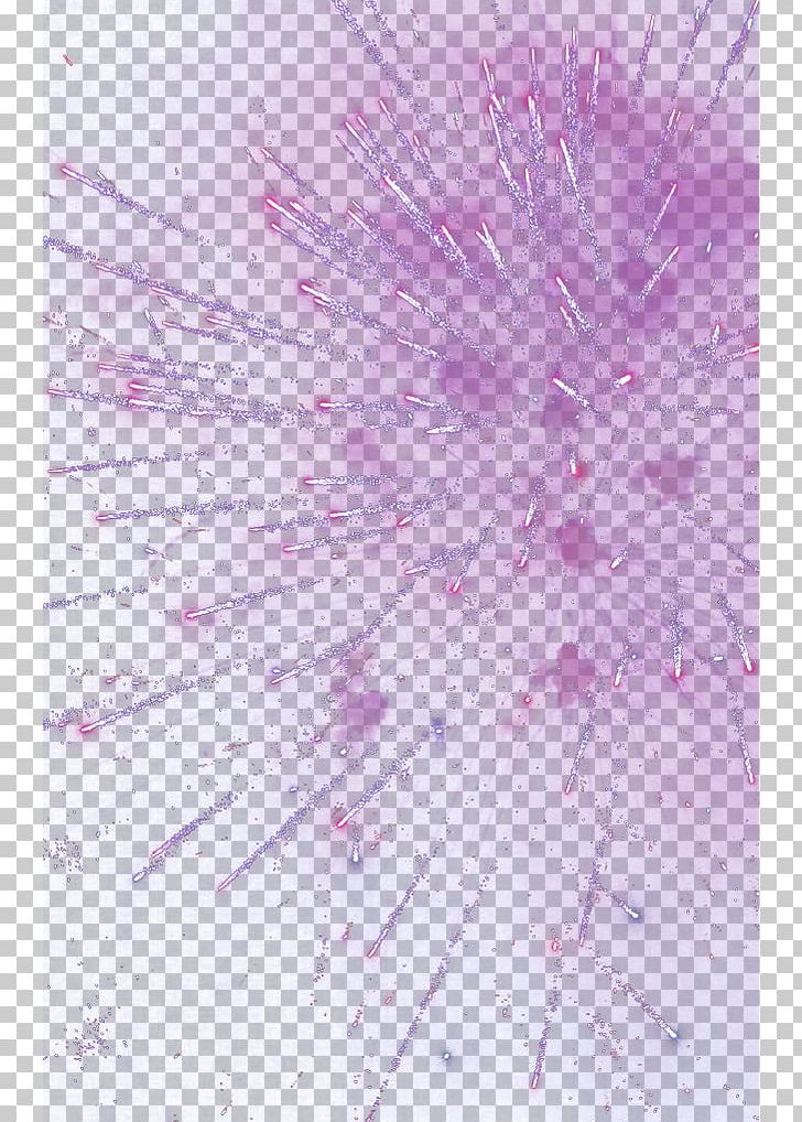 Petal Computer Pattern PNG, Clipart, Cartoon Fireworks, Computer Wallpaper, Festival, Firework, Fireworks Effect Free PNG Download