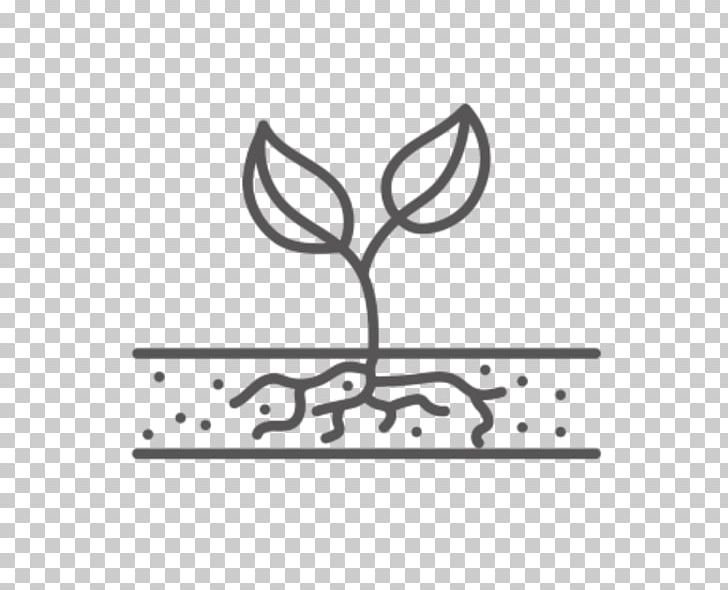 Plants Fruit Tree Seed Logo PNG, Clipart,  Free PNG Download