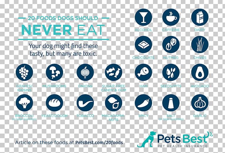 yorkshire-terrier-eating-puppy-cat-food-png-clipart-animals-area