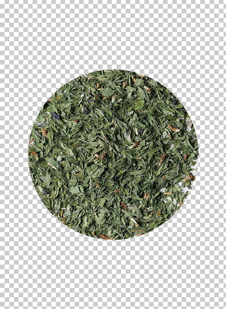 Tea Organic Food Alfalfa Red Clover Sencha PNG, Clipart, Alfalfa, Bancha, Biluochun, Clover, Food Drinks Free PNG Download