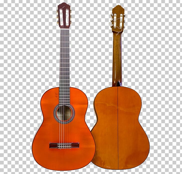 Tiple Ukulele Acoustic Guitar Cuatro Cavaquinho PNG, Clipart, Acoustic Electric Guitar, Bass Guitar, Cavaquinho, Cuatro, Electric Guitar Free PNG Download