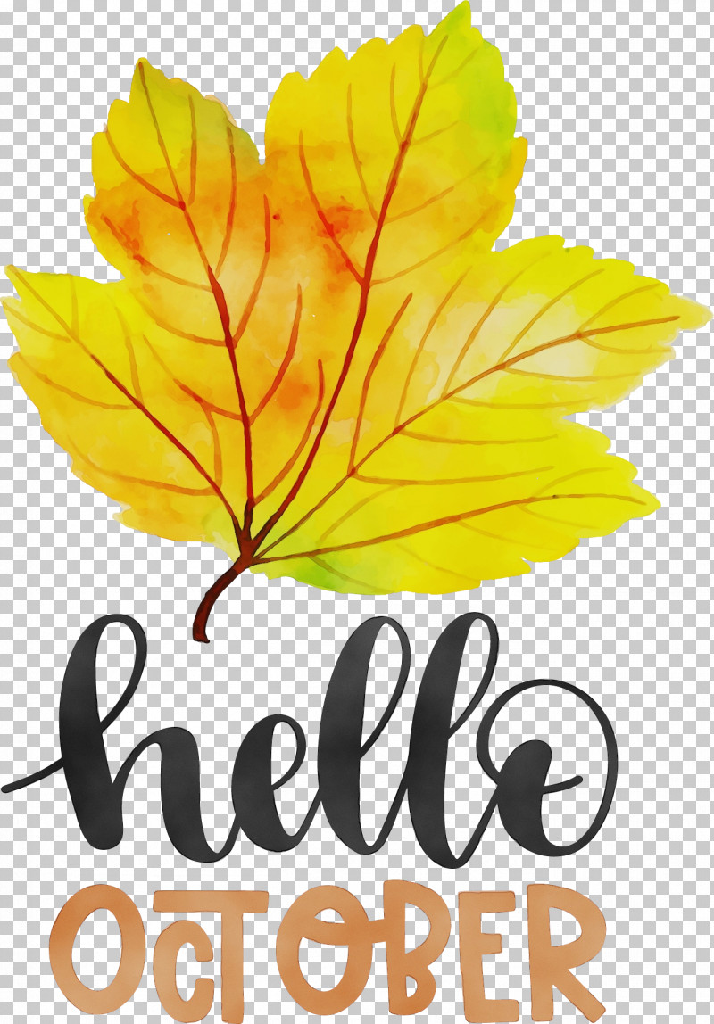 Leaf Flower Font Tree Fruit PNG, Clipart, Autumn, Biology, Flower, Fruit, Hello October Free PNG Download