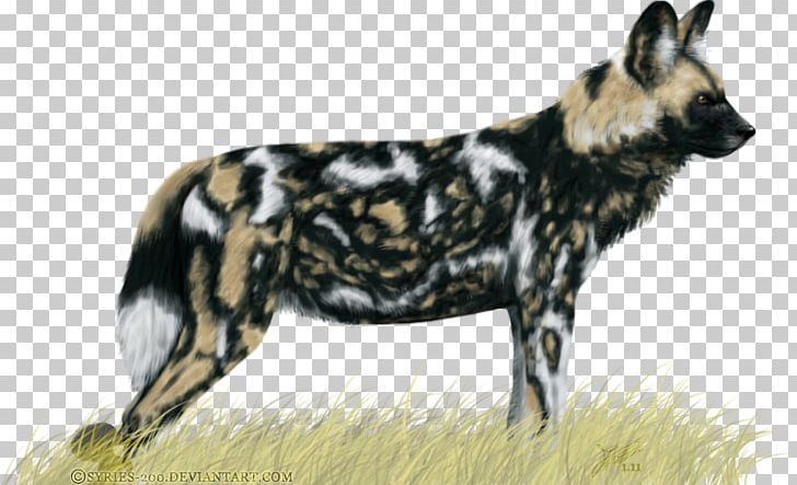 African Wild Dog Dhole Dog Breed Leopard PNG, Clipart, African, African Wild Dog, Animals, Art, Artist Free PNG Download