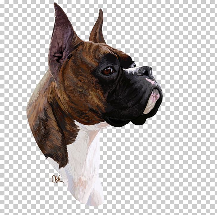 Boxer Dog Breed Valley Bulldog Boston Terrier Toy Bulldog PNG, Clipart, Boston, Boston Terrier, Boxer, Boxer Dog, Boxing Free PNG Download