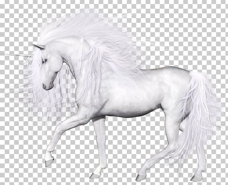 Horse Unicorn Transparency And Translucency Pegasus PNG, Clipart, Animal Figure, Art, Black And White, Blog, Computer Icons Free PNG Download