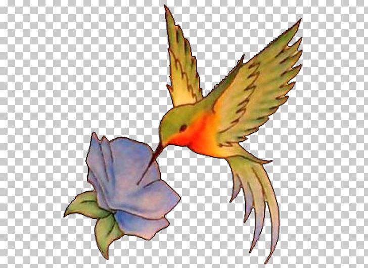 Hummingbird Tattoo Flash PNG, Clipart, Animal, Animals, Art, Beak, Bird Free PNG Download