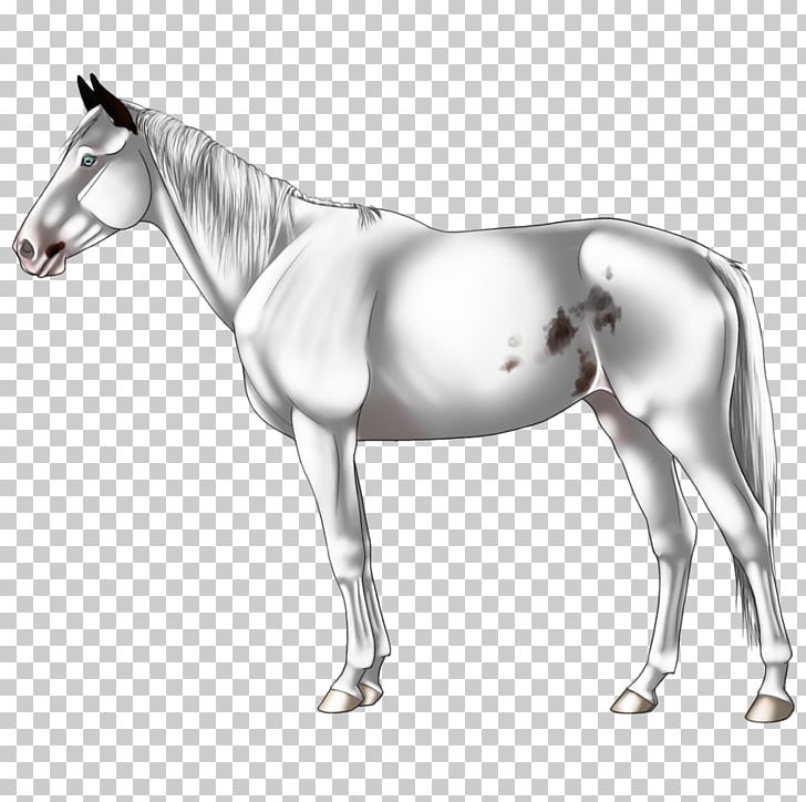 Mule Foal Stallion Halter Pony PNG, Clipart, Animal Figure, Black And White, Bridle, Colt, Foal Free PNG Download