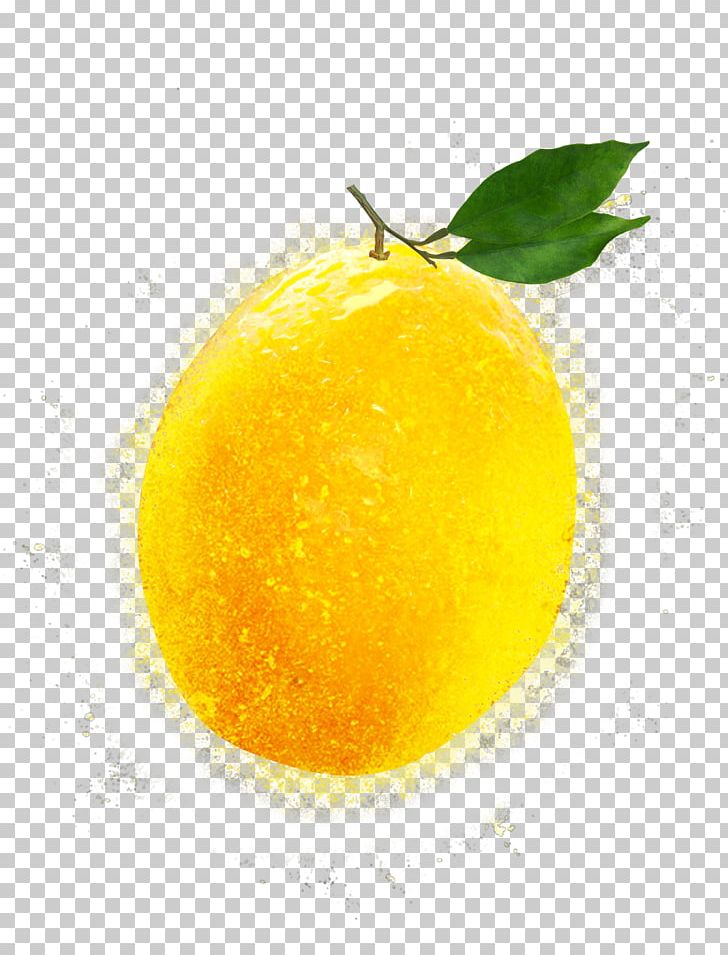 Lemon Citron Clementine Mandarin Orange Citrus Junos PNG, Clipart, Abstract Pattern, Acid, Citric Acid, Citron, Citrus Free PNG Download