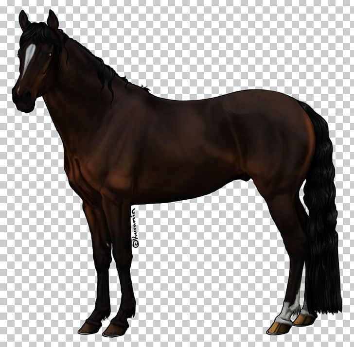 Mane Horse Pony Rein Stallion PNG, Clipart, Animals, Bridle, Colt, Halter, Horse Free PNG Download