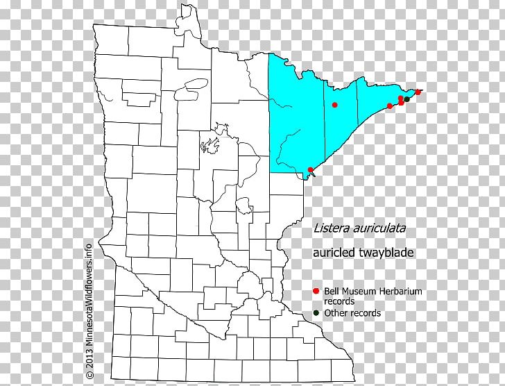 Pine County PNG, Clipart, Angle, Area, County, Diagram, Dodge County Minnesota Free PNG Download