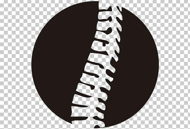 Vertebral Column Pain In Spine Low Back Pain Necktie Chiropractor PNG, Clipart,  Free PNG Download