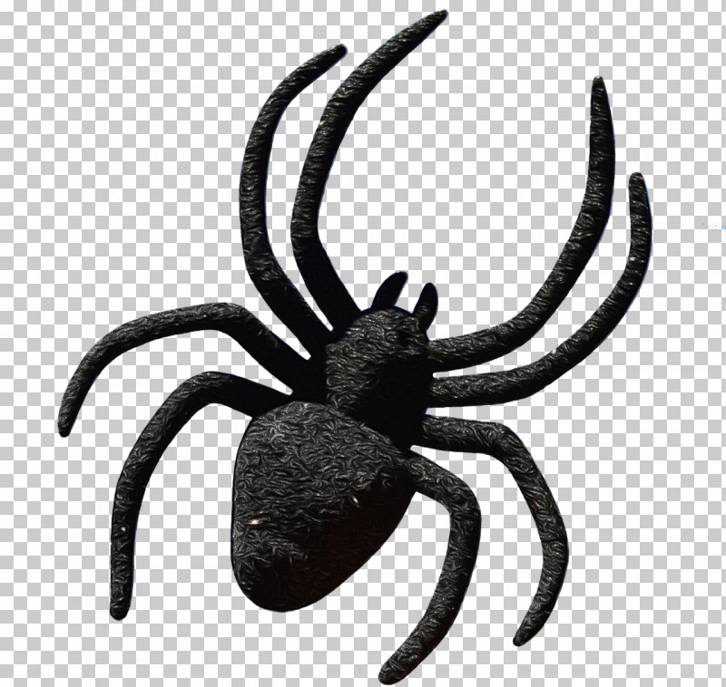Spider Insect Arachnid Pest Orb-weaver Spider PNG, Clipart, Animal Figure, Arachnid, Darkling Beetles, Insect, Orbweaver Spider Free PNG Download