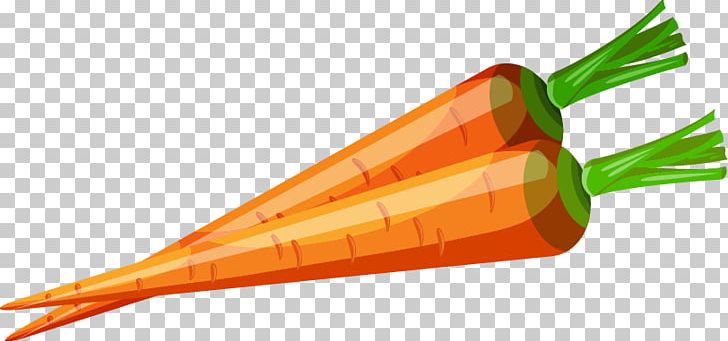 Carrot Vegetable Love PNG, Clipart, 3d Computer Graphics, Carrots Vector, Daucus Carota, Designer, Dish Free PNG Download