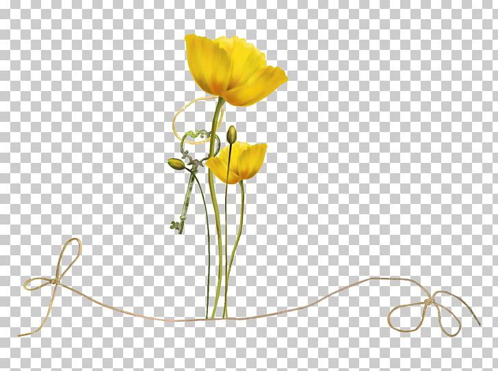 Floral Design Flower Yellow PNG, Clipart, Beautiful Childhood, Cut Flowers, Flora, Floral Design, Floristry Free PNG Download