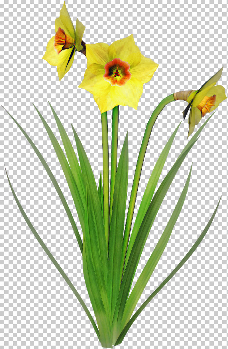 Artificial Flower PNG, Clipart, Amaryllis Family, Artificial Flower, Flower, Grass, Hippeastrum Free PNG Download