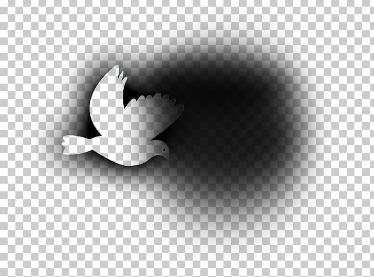 Beak Bird White Desktop PNG, Clipart, Animals, Beak, Bird, Black And White, Computer Free PNG Download