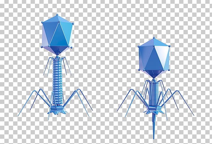 Bacteriophage Biotechnology Biology PNG, Clipart, Biological, Blue, Cell, Download, Electronics Free PNG Download
