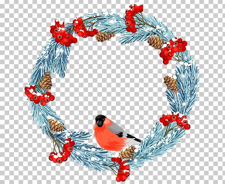 Bird Winter PNG, Clipart, Animals, Bird, Blog, Christmas, Christmas Decoration Free PNG Download