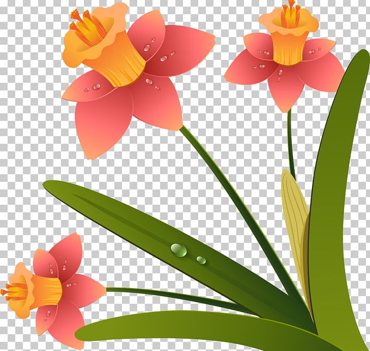 Flower Drawing PNG, Clipart, 2d Computer Graphics, Amaryllis Family, Art, Cattleya, Com Free PNG Download