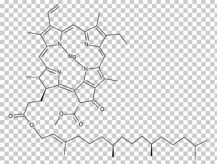 Chlorophyll Stock Photography Drawing PNG, Clipart, Angle, Area, Black And White, Bluegreen Bacteria, C 55 Free PNG Download