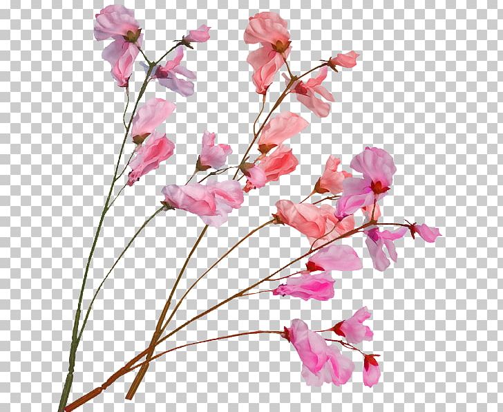 International Cherry Blossom Festival Pink PNG, Clipart, Blossoms, Branch, Cherry, Flower, Flower Arranging Free PNG Download
